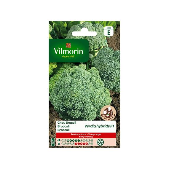 Vilmorin Broccoli Verdia Hf1-Se