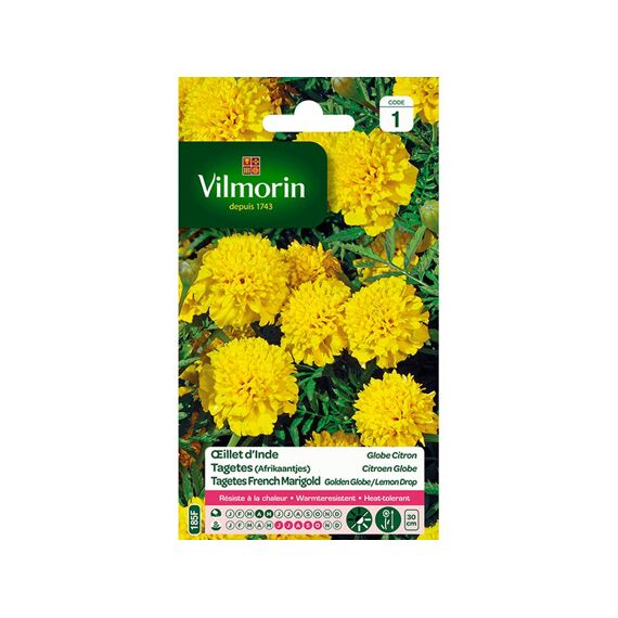 Vilmorin Tagetes Citroen Globe Sb