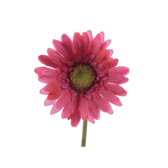 Z Zijden Gerbera Op Steel 50Cm Fuchsia