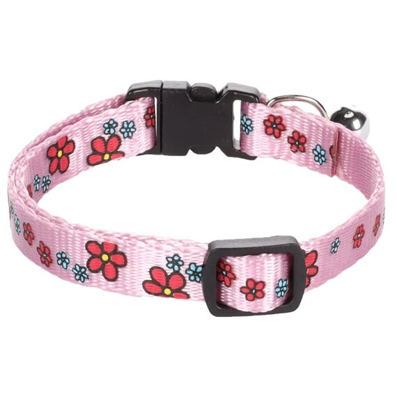 Asp Kattenhalsb Bloem Roze 30Cm1