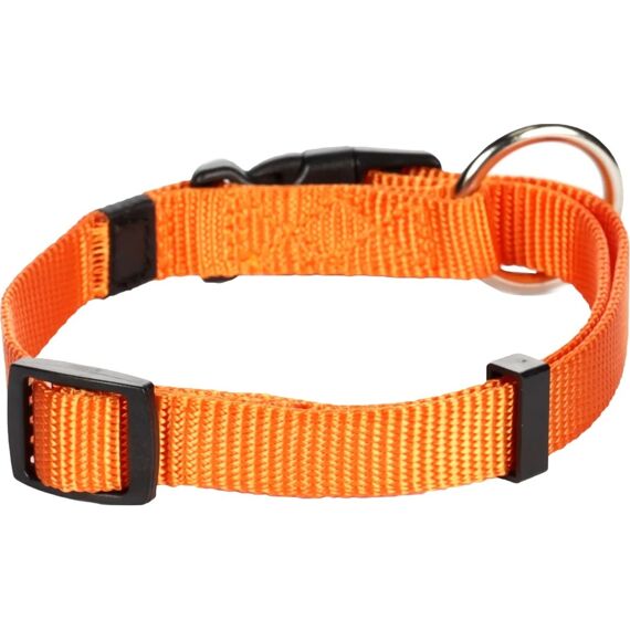 Halsb. Asp Oranje 30-45Cm 15Mm