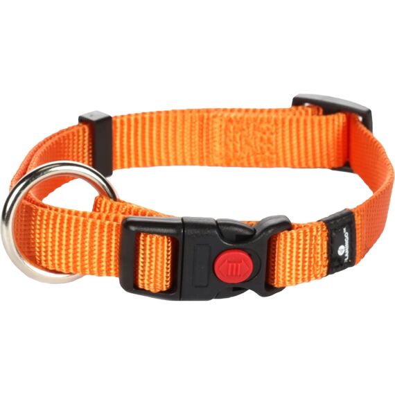 Halsb. Asp Oranje 30-45Cm 15Mm