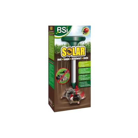 Bsi Solar Mol