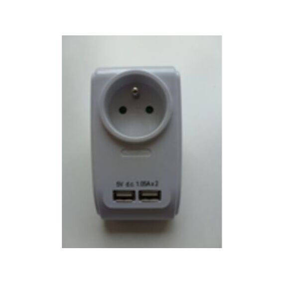 Adapter Met Usb Charger 2X1,05A