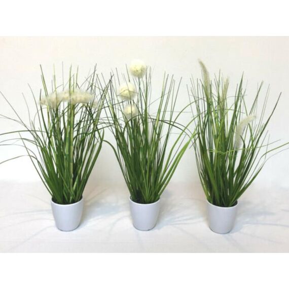 Gras In Bloempot 36Cm Cream 3 Assortimenten Prijs Per Stuk