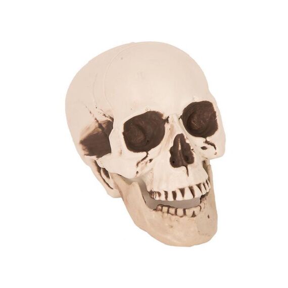 Deco Skull 21Cm