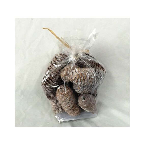 Pinecones In Bag (type 1)