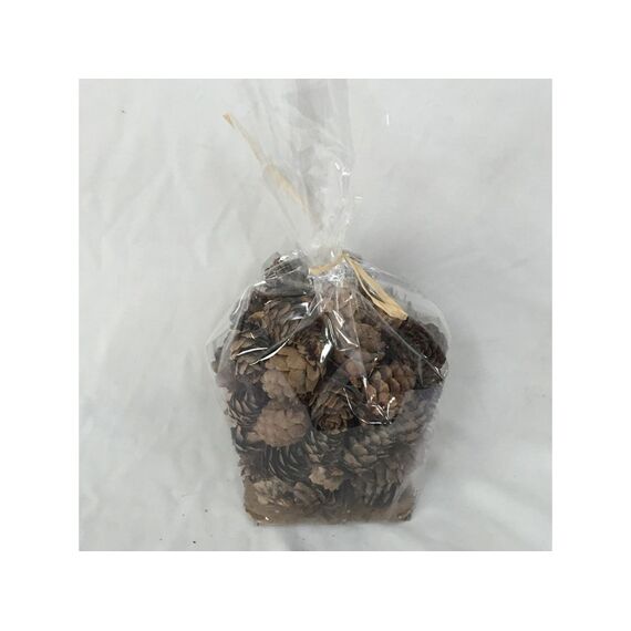 Pinecones In Bag (type 2)