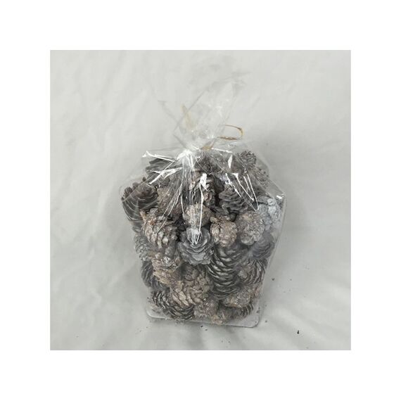 Pinecones In Bag (type 3)