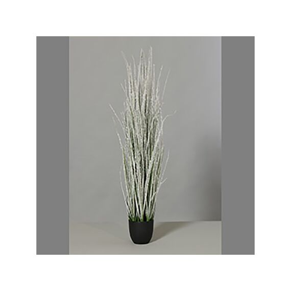 Grass With Ice In Plastic Pot 105Cm