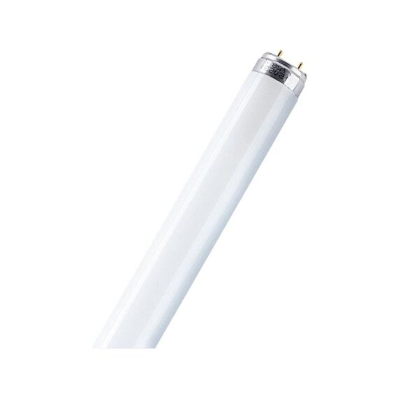 Osram Tl-Lamp 36W/880 Skywhite