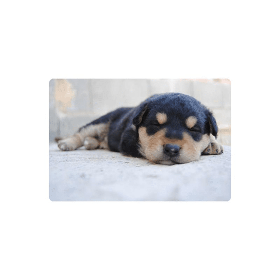 Placemat Anti-Slip 30X45Cm Doggy Dog
