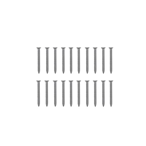 Platinum Schroeven 20X, Rvs