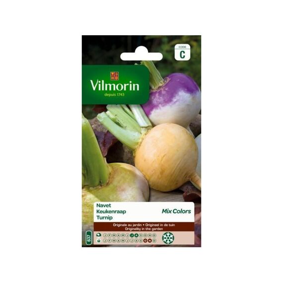 Vilmorin Keukenraap Mix Colors