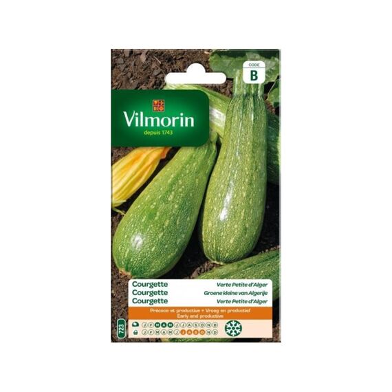 Vilmorin Courgette Groene Kleine Van Anger Nieuw