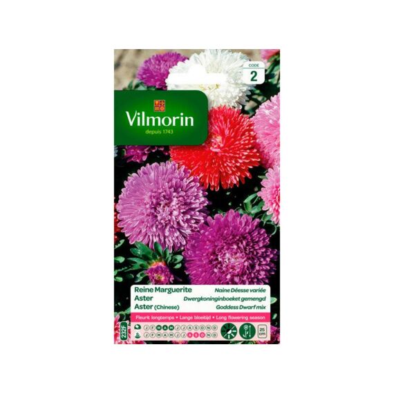 Vilmorin Aster Dwergkoninginboeket Gemengd