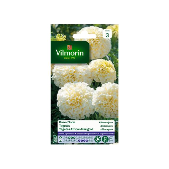 Vilmorin Tagetes Kilimanjaro Wit