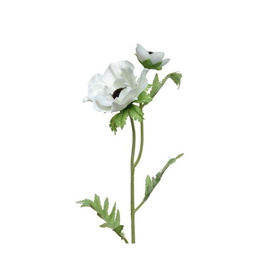 Pes Anemone On Stem White 8X18X41Cm