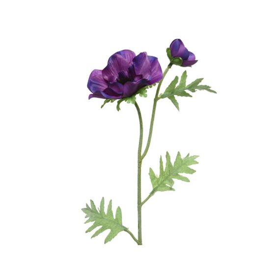 Pes Anemone On Stem Purple 8X18X41Cm