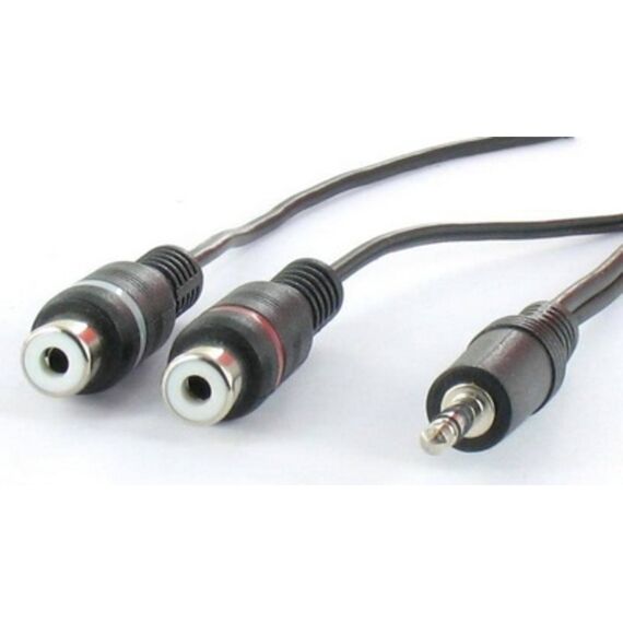 Mini Jack > 2 Rca V 0.20M Blister
