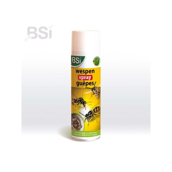 Bsi Wespenspray 500Ml Be