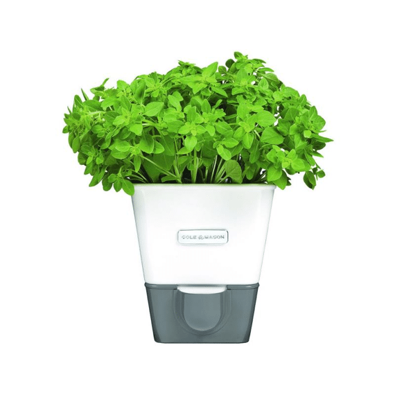 Cole & Mason H105249 | Kruidenpot Met Waterreservoir