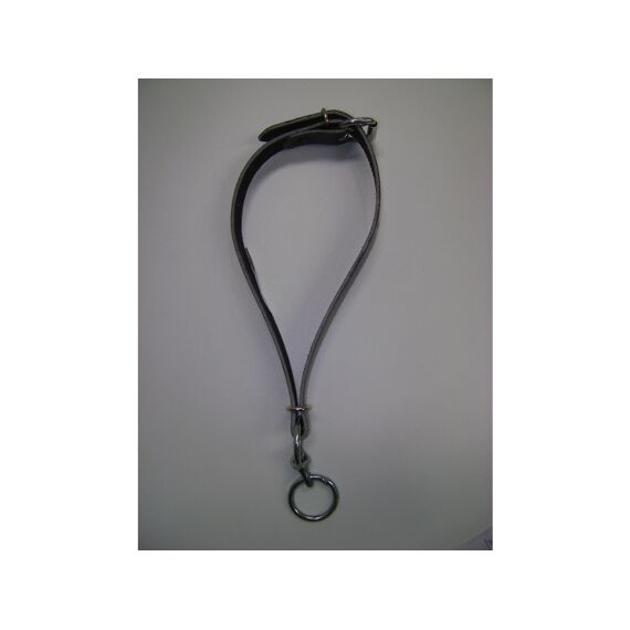 Halsband + Ring 60Cm X 25Mm Nylon