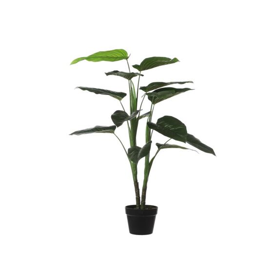 Philodendron In Pot Green H100Xd70Cm