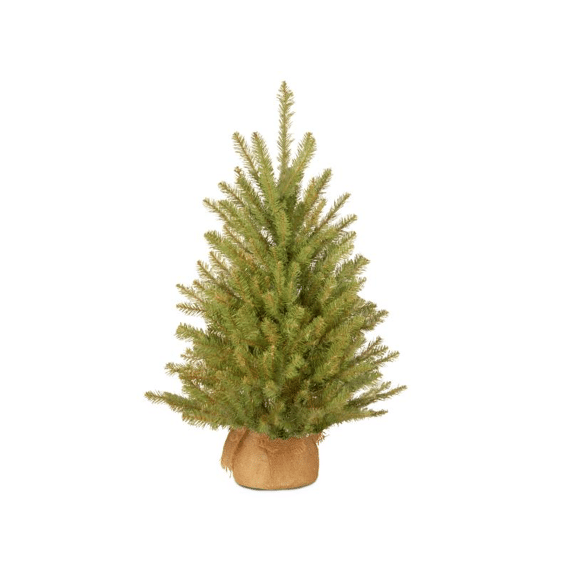Dunhill Fir H61Cm Burlap