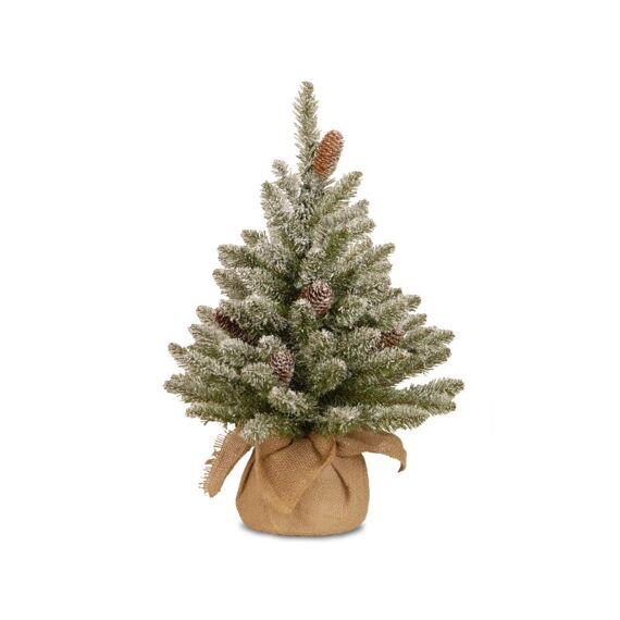 Snowy Concolor Burlap W/Cones 61Cm