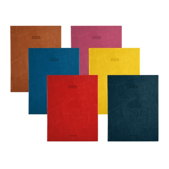 Brepols Agenda Optivision Large Week Nl Lucca Assortiment Prijs Per Stuk