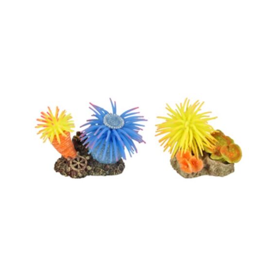 Ad Leo Anemoon Ass 10X7X7Cm