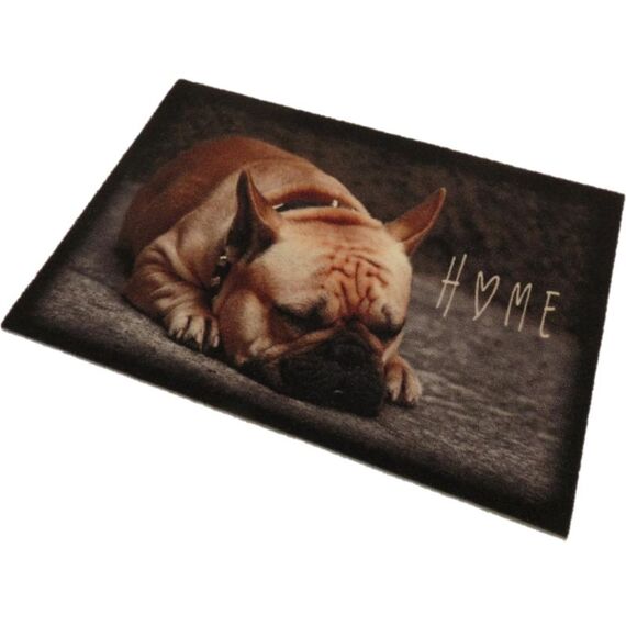 Deco Star Dieren Hond Home 50X80