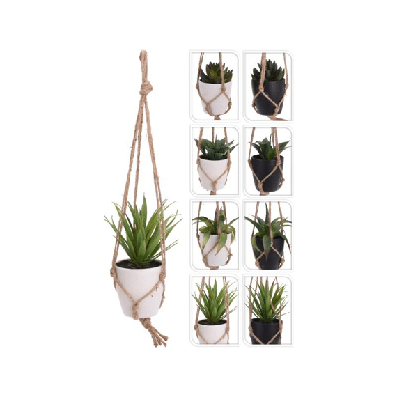 Plant In Pp Pot - Touw 60Cm 8 Assortiment Prijs Per Stuk/Kleur