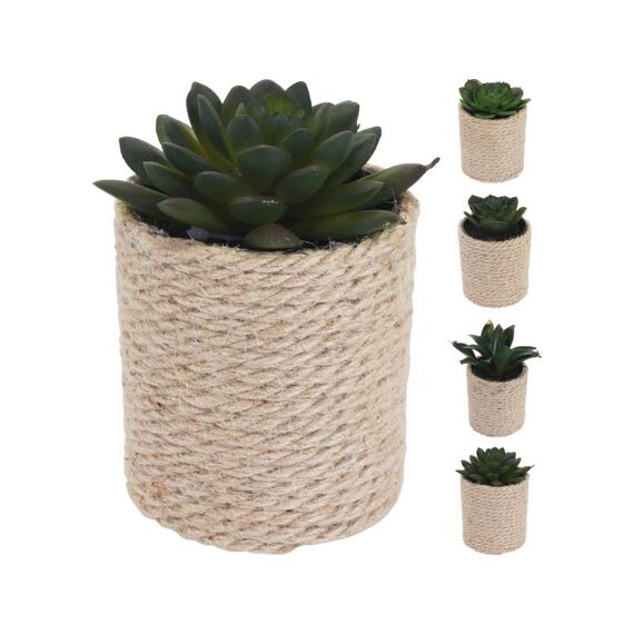 Plant In Pot 8X8X14Cm 4 Assortiment Prijs Per Stuk/Kleur