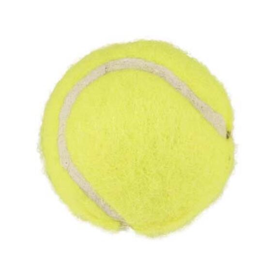 Hs Tennisbal Geel 4Cm 3St