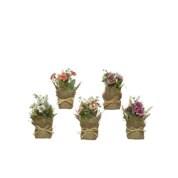 Bloem Plastic Pot 7X7X17Cm 6 Assortiment Prijs Per Stuk