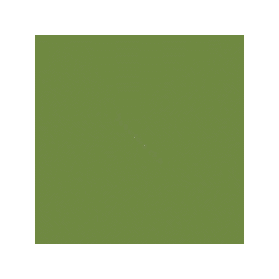 Duni Serviet 33X33Cm 20 St. Leaf Green