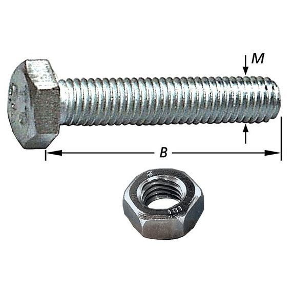 Tapbouten Met Moer Inox M5X10Mm