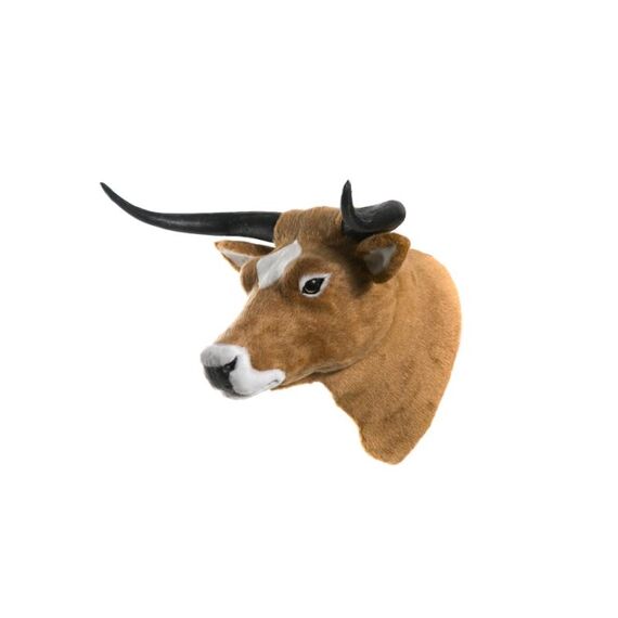 Cow Head 43Cm