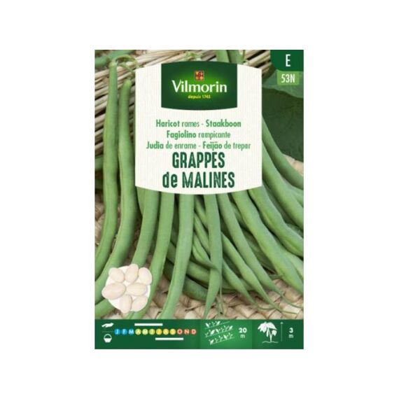 Vilmorin Staakboon Mechelse Tros 125G