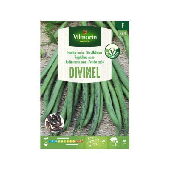 Vilmorin Struikboon Divinel 100G