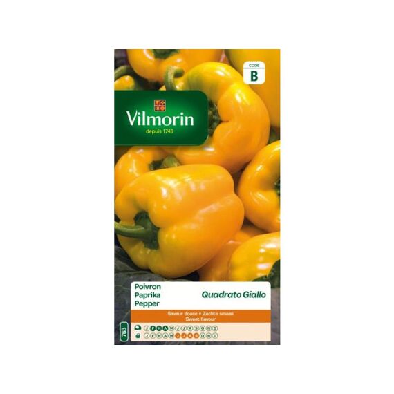 Vilmorin Paprika Quadrato Giallo