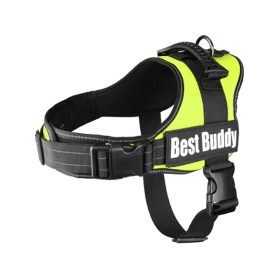 Harnas Best Buddy Pluto Neon Groen