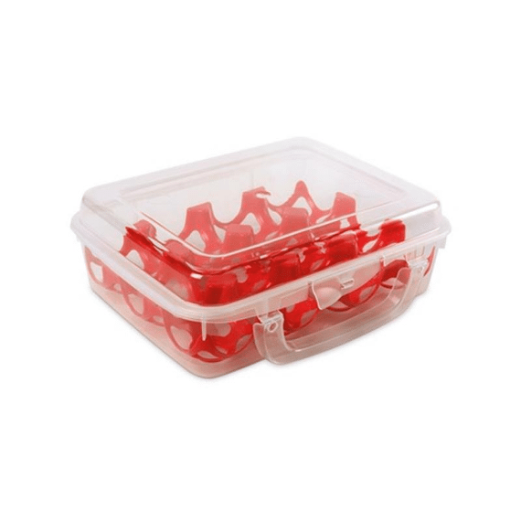 Eggs Container With Handle