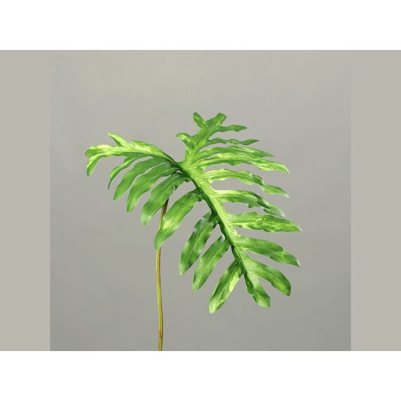 Philodendron Blatt 64Cm