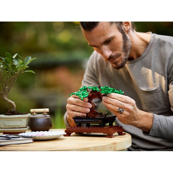 Lego Botanicals 10281 Bonsaiboompje