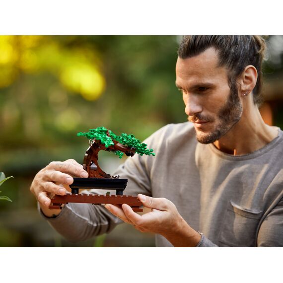 Lego Botanicals 10281 Bonsaiboompje