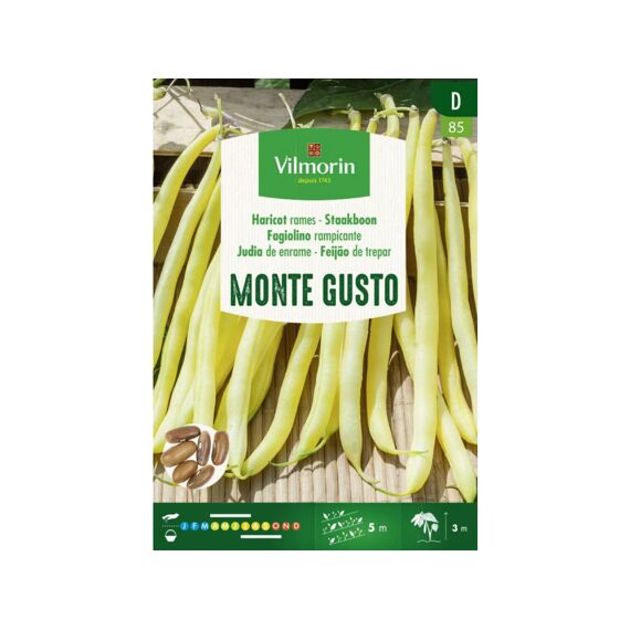 Vilmorin Staakboterboon Monte Gusto 35G D