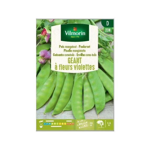 Vilmorin Peulen Géant À Fleur Violette 125G D